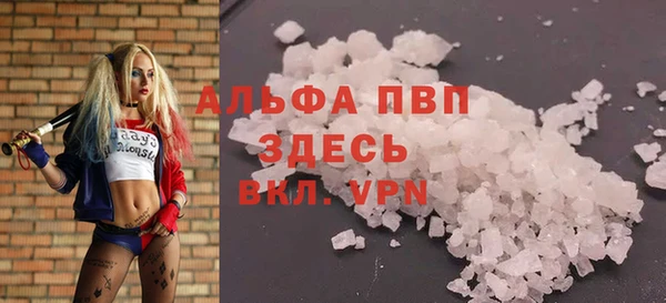 ECSTASY Богородск