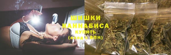 ECSTASY Богородск