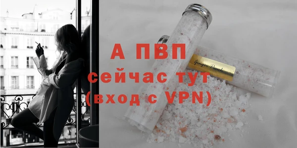 ECSTASY Богородск