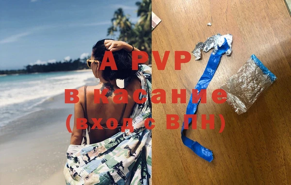 ECSTASY Богородск
