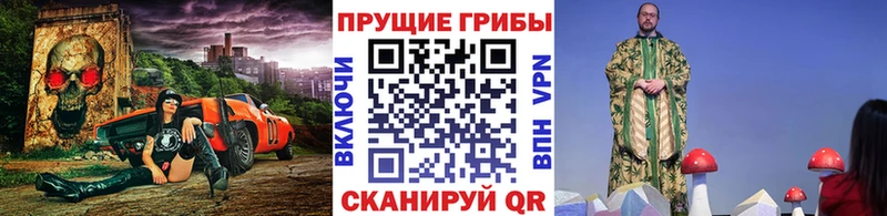 Купить  Козловка  Галлюциногенные грибы Psilocybine cubensis 