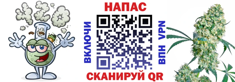 Купить закладки  Козловка  Бошки марихуана Ganja 